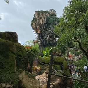 Meet your Posher, Dy